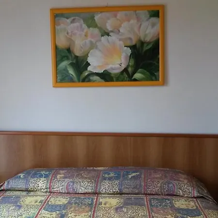 Giardino Hotel 3*