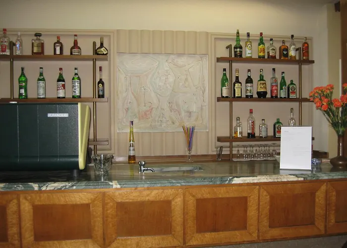 酒店 花园酒店 西尔米奥奈