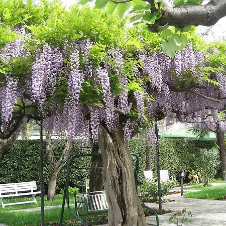 Giardino 3* Sirmione